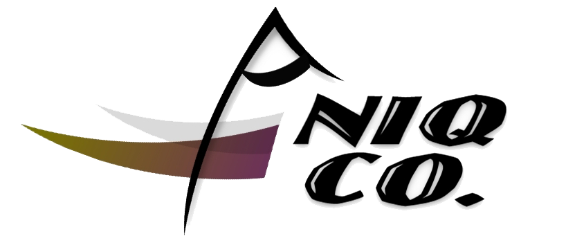 Aniq logo